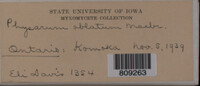 Image Associated With the Occurence